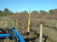 Vineyard Pruner 009 (Small).jpg