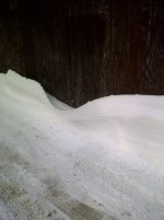 Fenner-20110308-00048.jpg