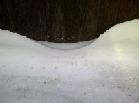 Fenner-20110308-00049.jpg
