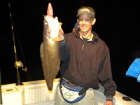 fish11.jpg