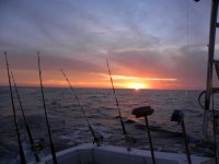 fish9.jpg