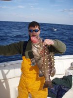 fish4.jpg