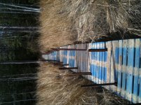 iphone pics all to date 1527.jpg