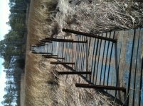 iphone pics all to date 1529.jpg