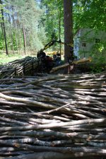 CONWAY LAKE LOT 101.jpg