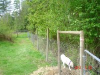 FenceAuger 004.jpg