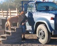 Cody kirby truck3a.jpg