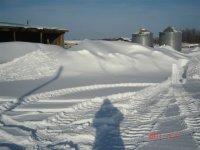 sneeuw 001.jpg