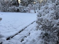 IMG_4303[1].JPG