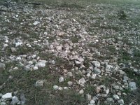 rocks 3.jpg