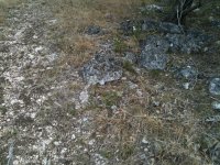 rocks 5.jpg