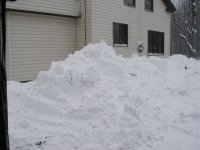 331052-christmas floodlights are buried.jpg