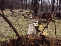 35-34270-wood1.JPG