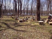 35-34273-wood4.JPG