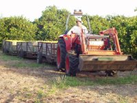 35-215172-tractorandthreebins.jpg