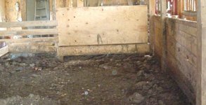 262311-before.jpg