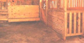 262312-after.jpg
