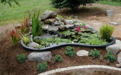 6-96130-Pondshrunk.jpg