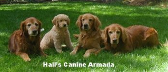 492216-Medium Four Generation april 2004with name.jpg