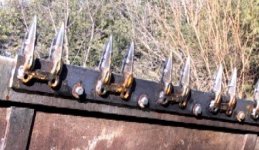 614788-teeth below.jpg