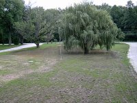 354106-IM000326.JPG