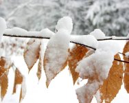 35-98190-8.jpg