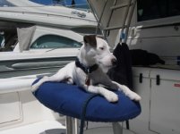 544351-Skipper_Boat.jpg