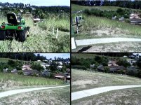 536740-tall grass.jpg