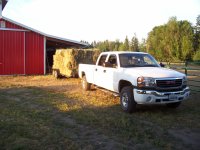 Horse hay 7-20-09   (Ed's) 003.JPG