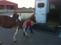 image-980599555.png