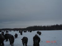 feeding time 008.jpg