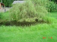 BackFence 001.jpg