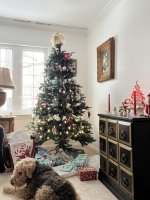 IMG_5482.jpeg