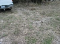 852 Oakwood 042.jpg