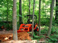 KUBOTA WOODS 010.JPG