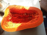 20250103_134718.jpg