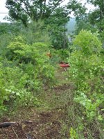 5-2011 May 802.JPG
