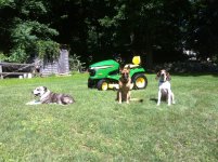 IMG_1596.jpg