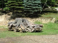 DSCN3371.jpg