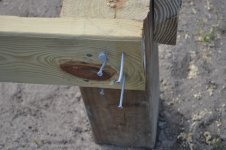 DSC_0155.jpg