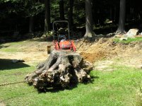 DSCN3373.jpg
