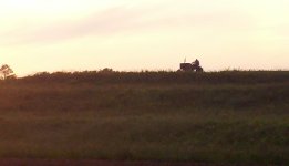 animals 150.jpg