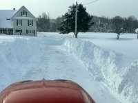 IMG_2101.jpeg