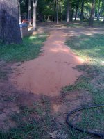 berm phase1.JPG