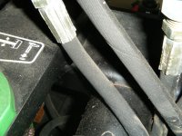 2011_06032011May0022.jpg