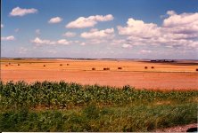 sc026fd45a.jpg