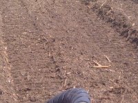 IMG-20110617-00076.jpg