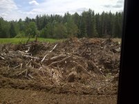 IMG-20110617-00074.jpg
