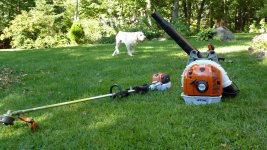 Stihl1.jpg