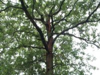 447400-Untitled-2.jpg